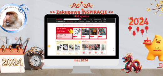 Inspiracje AliExpress MAJ 2024